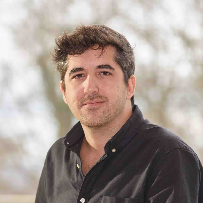 Armando Reyes Palomares